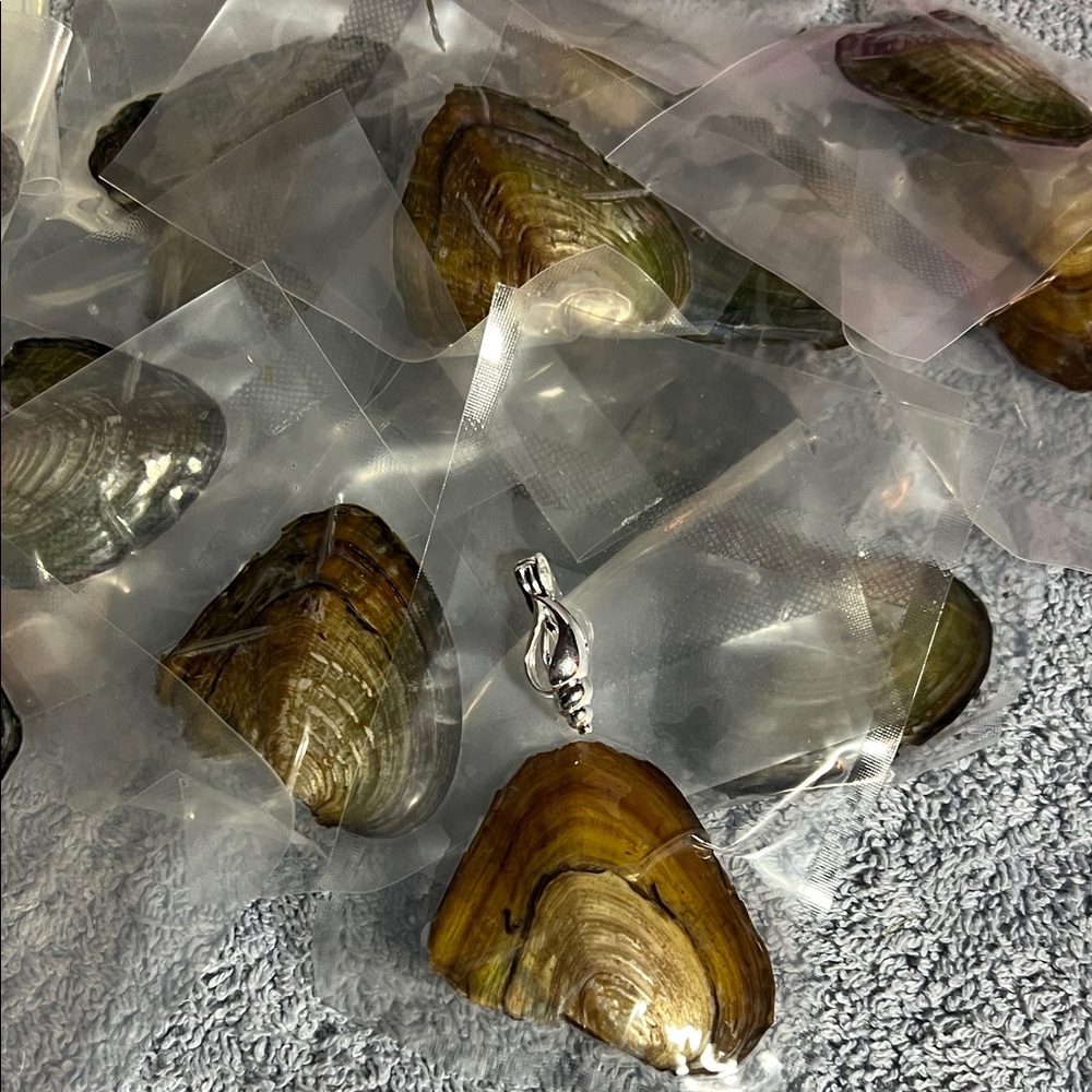 Pick 1 Pearl and 1 pendant